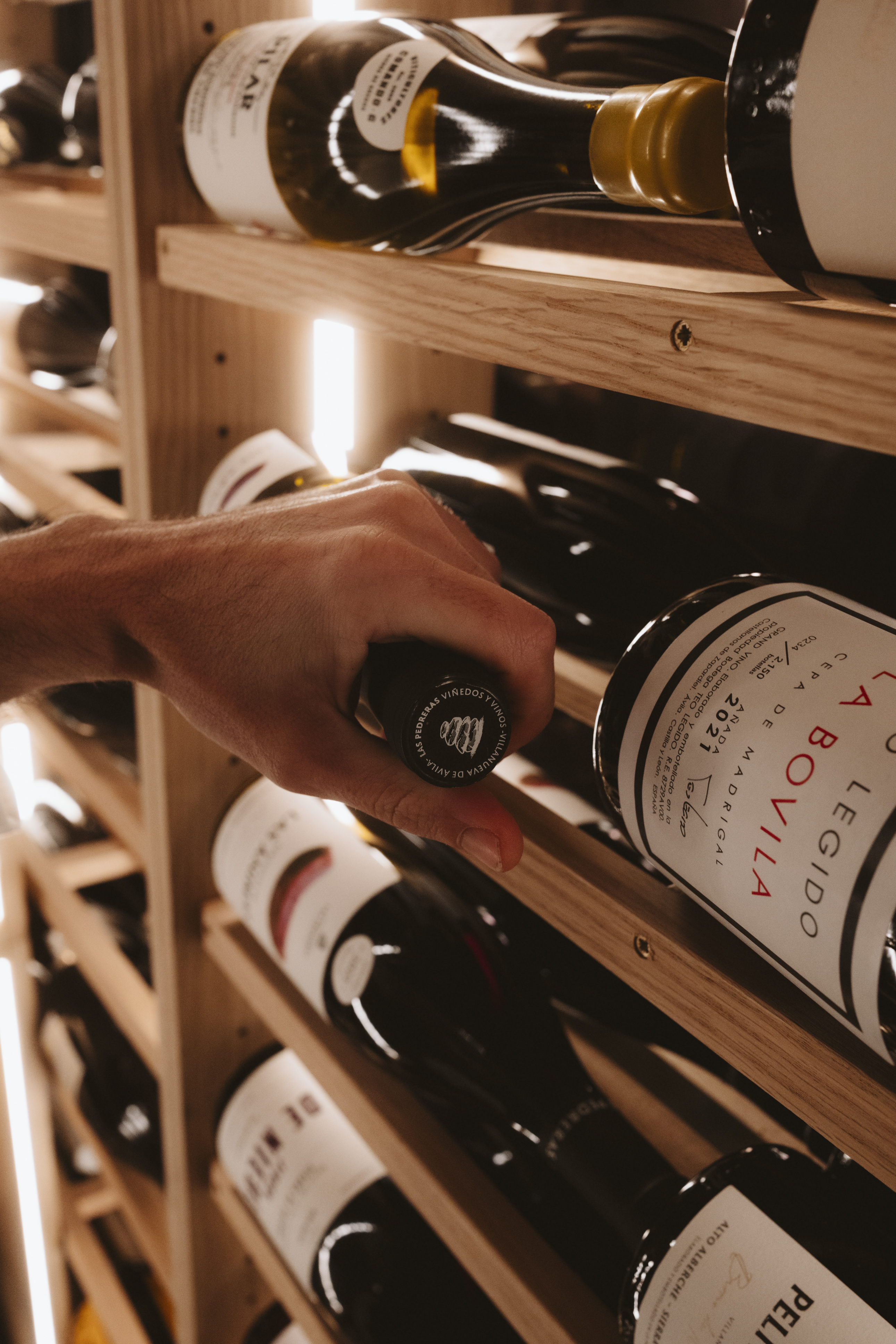 Selección de vinos